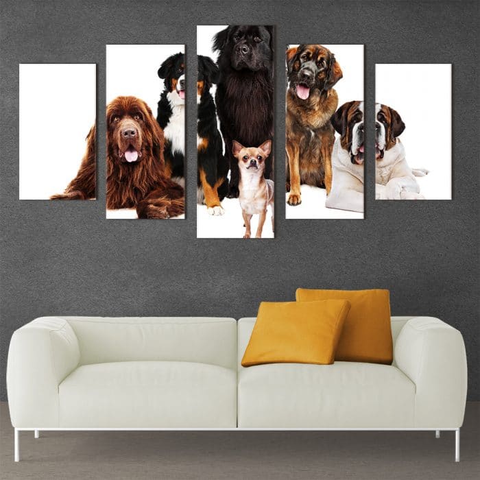 Dogs Galore - Beautiful Home Décor | Unique Canvas