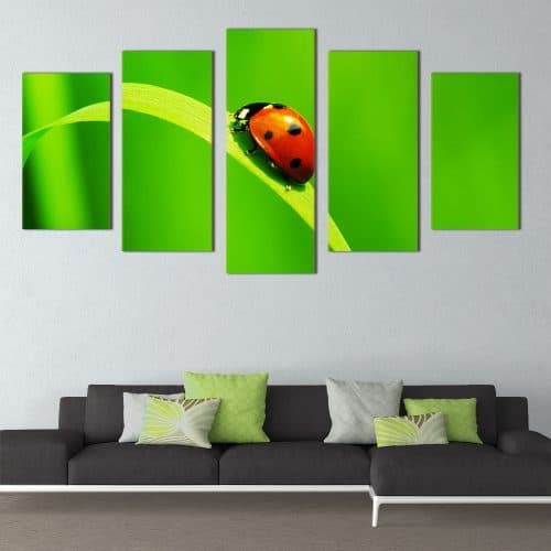 Ladybug - Beautiful Home Décor | Unique Canvas