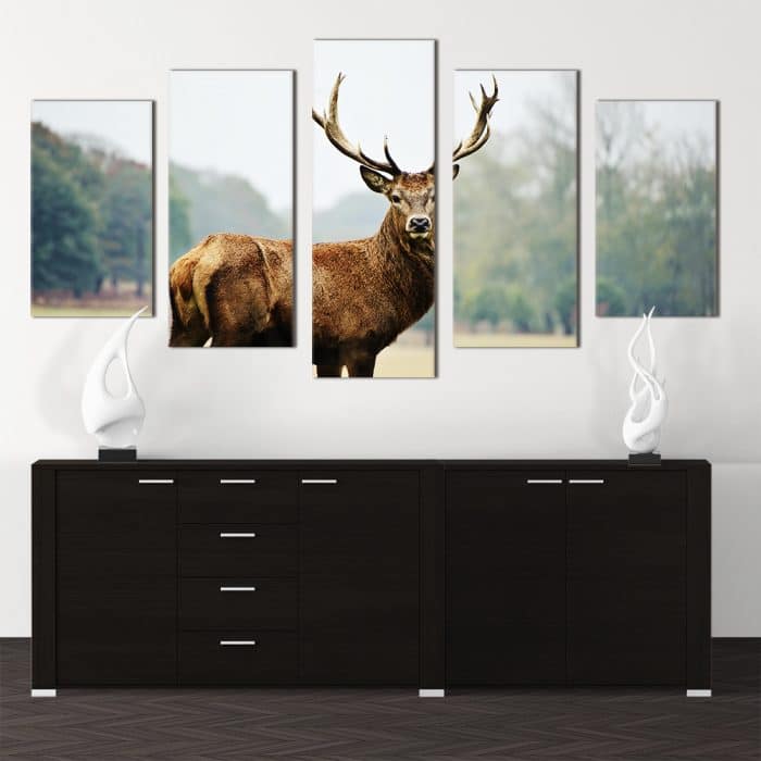 Staring Stag - Beautiful Home Décor | Unique Canvas