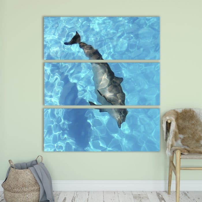 Playful Dolphin - Beautiful Home Décor | Unique Canvas