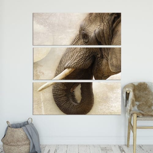 Elephant Wisdom - Beautiful Home Décor | Unique Canvas