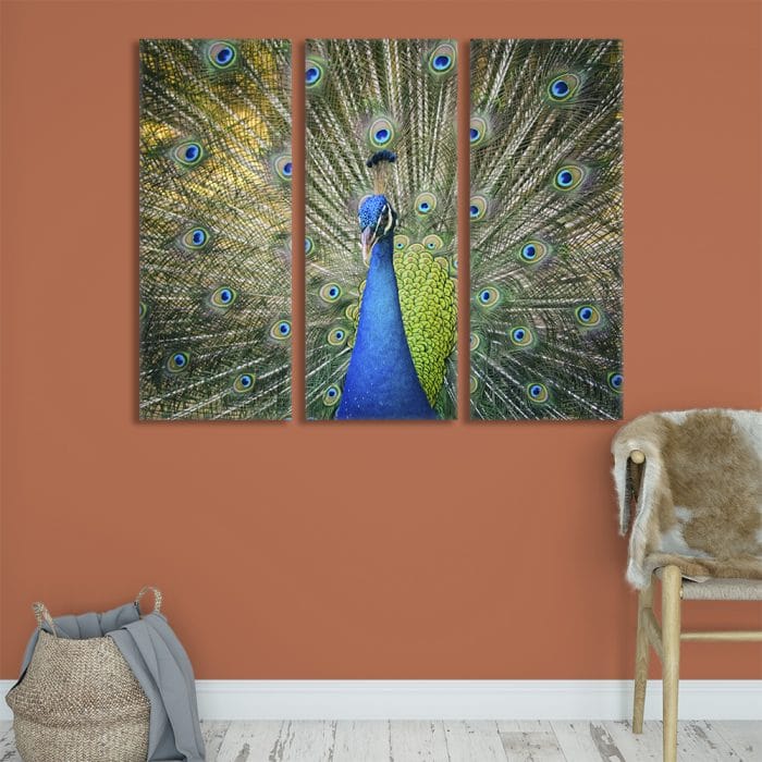 Majestic Peacock - Beautiful Home Décor | Unique Canvas